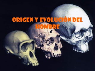 ORIGEN Y EVOLUCIÓN DEL
       HOMBRE
 