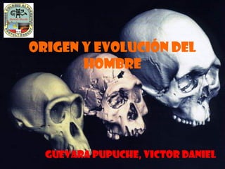 ORIGEN Y EVOLUCIÓN DEL
HOMBRE
GUEVARA PUPUCHE, VICTOR DANIEL
 