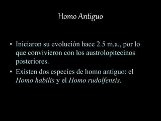 Homo Antiguo
• Iniciaron su evolución hace 2.5 m.a., por lo
que convivieron con los austrolopitecinos
posteriores.
• Existen dos especies de homo antiguo: el
Homo habilis y el Homo rudolfensis.
 