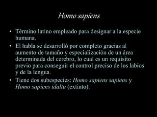 Homo sapiens
• Término latino empleado para designar a la especie
humana.
• El habla se desarrolló por completo gracias al
aumento de tamaño y especialización de un área
determinada del cerebro, lo cual es un requisito
previo para conseguir el control preciso de los labios
y de la lengua.
• Tiene dos subespecies: Homo sapiens sapiens y
Homo sapiens idaltu (extinto).
 