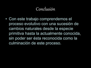 Conclusión
• Con este trabajo comprendemos el
proceso evolutivo con una sucesión de
cambios naturales desde la especie
primitiva hasta la actualmente conocida,
sin poder ser ésta reconocida como la
culminación de este proceso.
 