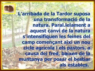 L’arribada de la Tardor suposa una transformació de la natura. Paral.lelament a aquest canvi de la natura s’intensifiquen les feines del camp començant així un nou cicle agrícola i els pastors, a causa del fred, baixen de la muntanya per posar el bestiar als estables.  