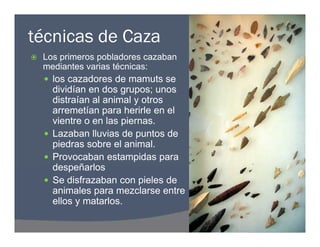 técnicas de Caza
 Los primeros pobladores cazaban
mediantes varias técnicas:
 los cazadores de mamuts se
dividían en dos grupos; unos
distraían al animal y otros
arremetían para herirle en el
vientre o en las piernas.
 Lazaban lluvias de puntos de
piedras sobre el animal.
 Provocaban estampidas para
despeñarlos
 Se disfrazaban con pieles de
animales para mezclarse entre
ellos y matarlos.
 Los primeros pobladores cazaban
mediantes varias técnicas:
 los cazadores de mamuts se
dividían en dos grupos; unos
distraían al animal y otros
arremetían para herirle en el
vientre o en las piernas.
 Lazaban lluvias de puntos de
piedras sobre el animal.
 Provocaban estampidas para
despeñarlos
 Se disfrazaban con pieles de
animales para mezclarse entre
ellos y matarlos.
 