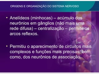 ORIGENS E ORGANIZAÇÃO DO SISTEMA NERVOSO



• Anelídeos (minhocas) – acúmulo dos
  neurônios em gânglios (não mais uma
  rede difusa) – centralização – permite os
  arcos reflexos.

• Permitiu o aparecimento de circuitos mais
  complexos e funções mais precisas, bem
  como, dos neurônios de associação.
 