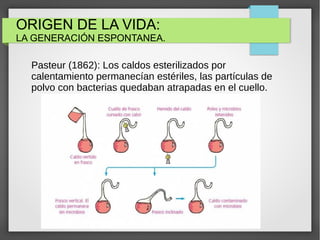 ORIGEN DE LA VIDA:
LA GENERACIÓN ESPONTANEA.
Pasteur (1862): Los caldos esterilizados por
calentamiento permanecían estériles, las partículas de
polvo con bacterias quedaban atrapadas en el cuello.
 