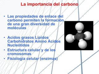 La importancia del carbono Las propiedades de enlace del carbono permiten la formación de una gran diversidad de moléculas Acidos grasos Lípidos Carbohidratos Amino Ácidos Nucleótidos Estructura celular y de los cromosomas Fisiologia celular (enzimas) 