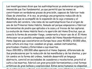 Las investigaciones dicen que los australopitecos ya anduvieron erguidos, innovación que fue fundamental, ya que permitió que las manos se convirtiesen en verdaderas piezas de precisión, capaces de fabricar toda  Clase de utensilios. A la vez, se produjo una progresiva reducción de la Mandíbula que se acompañó de la expansión de la caja craneana y el desarrollo del cerebro. Una rama de los australopitecos fue el origen de uno de los Primeros Homo Habilis, llamado así porque empezaron a fabricar herramientas de piedra que aplicaba a la caza y al troceo de las capturas.  La evolución de Homo Habilis llevó a la aparición del Homo Erectus, que ya  conocía la forma de encender fuego, conservarlo y hacer uso de el. El Homo Antecesor es un posible antepasado común del Homo Neanderthalensis y el  Homo Sapiens que coexistieron en Europa hace unos 40.000 y 30.000 años, esta cultura era muy rica: cazaban en grupo, usaban instrumentos, practicaban rituales y Enterraban a sus muertos. Hace 200.000 y 100.000 años apareció el Homo Sapiens, diferenciado de Sus predecesores por la reducción de las mandíbulas y de los dientes, y por Un cambio en la forma del cráneo, también desarrolló un lenguaje abstracto, convivió en sociedades de cazadores y recolectores, practicó el culto a los muertos, fabricó con gran precisión herramientas y creó formas artísticas de gran belleza y expresividad. Estos seres humanos no disponían de nuestro bagaje cultural, pero biológicamente eran idénticos a nosotros. 