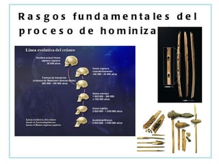 Rasgos fundamentales del proceso de hominización.   