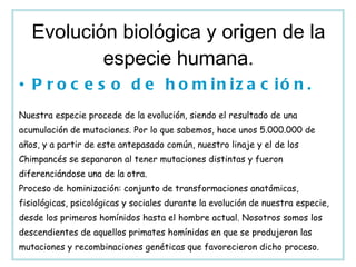 Evolución biológica y origen de la especie humana. Proceso de hominización. Nuestra especie procede de la evolución, siendo el resultado de una acumulación de mutaciones. Por lo que sabemos, hace unos 5.000.000 de años, y a partir de este antepasado común, nuestro linaje y el de los Chimpancés se separaron al tener mutaciones distintas y fueron diferenciándose una de la otra.  Proceso de hominización: conjunto de transformaciones anatómicas, fisiológicas, psicológicas y sociales durante la evolución de nuestra especie, desde los primeros homínidos hasta el hombre actual. Nosotros somos los descendientes de aquellos primates homínidos en que se produjeron las mutaciones y recombinaciones genéticas que favorecieron dicho proceso. 