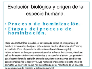 Evolución biológica y origen de la especie humana. Proceso de hominización. Etapas del proceso de hominización. Hace unos 5.000.000 de años, el antepasado común al chimpancé y al hombre vivían en los bosques, este especie recibía el nombre de Primate Arborícola. Pero al cambiar la situación ambiental (una sequía), retrocedieron los bosques y aumentaron las sabanas herbáceas, viéndose así los Primates Arborícolas obligados a descender al suelo. Los primates que desarrollaron la posición erguida estuvieron en mejores condiciones para reproducirse y sobrevivir. Los humanos provenimos de esta línea de primates ya que todo lo que nos caracteriza es el resultado de un proceso de acumulación de cambios y selección natural. 