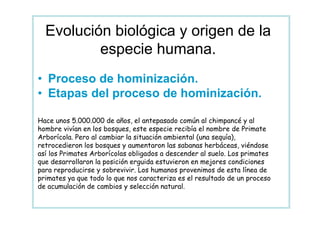 Evolución biológica y origen de la
          especie humana.
• Proceso de hominización.
• Etapas del proceso de hominización.

Hace unos 5.000.000 de años, el antepasado común al chimpancé y al
hombre vivían en los bosques, este especie recibía el nombre de Primate
Arborícola. Pero al cambiar la situación ambiental (una sequía),
retrocedieron los bosques y aumentaron las sabanas herbáceas, viéndose
así los Primates Arborícolas obligados a descender al suelo. Los primates
que desarrollaron la posición erguida estuvieron en mejores condiciones
para reproducirse y sobrevivir. Los humanos provenimos de esta línea de
primates ya que todo lo que nos caracteriza es el resultado de un proceso
de acumulación de cambios y selección natural.
 