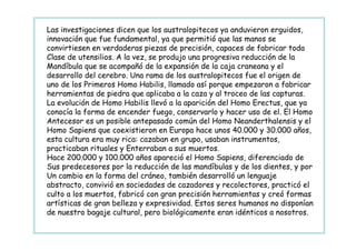 Las investigaciones dicen que los australopitecos ya anduvieron erguidos,
innovación que fue fundamental, ya que permitió que las manos se
convirtiesen en verdaderas piezas de precisión, capaces de fabricar toda
Clase de utensilios. A la vez, se produjo una progresiva reducción de la
Mandíbula que se acompañó de la expansión de la caja craneana y el
desarrollo del cerebro. Una rama de los australopitecos fue el origen de
uno de los Primeros Homo Habilis, llamado así porque empezaron a fabricar
herramientas de piedra que aplicaba a la caza y al troceo de las capturas.
La evolución de Homo Habilis llevó a la aparición del Homo Erectus, que ya
conocía la forma de encender fuego, conservarlo y hacer uso de el. El Homo
Antecesor es un posible antepasado común del Homo Neanderthalensis y el
Homo Sapiens que coexistieron en Europa hace unos 40.000 y 30.000 años,
esta cultura era muy rica: cazaban en grupo, usaban instrumentos,
practicaban rituales y Enterraban a sus muertos.
Hace 200.000 y 100.000 años apareció el Homo Sapiens, diferenciado de
Sus predecesores por la reducción de las mandíbulas y de los dientes, y por
Un cambio en la forma del cráneo, también desarrolló un lenguaje
abstracto, convivió en sociedades de cazadores y recolectores, practicó el
culto a los muertos, fabricó con gran precisión herramientas y creó formas
artísticas de gran belleza y expresividad. Estos seres humanos no disponían
de nuestro bagaje cultural, pero biológicamente eran idénticos a nosotros.
 