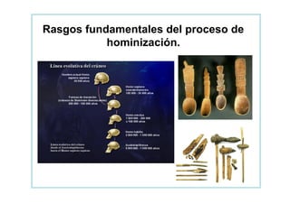 Rasgos fundamentales del proceso de
           hominización.
 