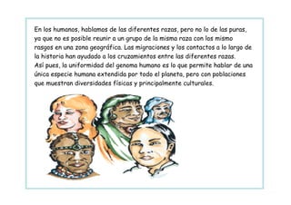 En los humanos, hablamos de las diferentes razas, pero no lo de las puras,
ya que no es posible reunir a un grupo de la misma raza con los mismo
rasgos en una zona geográfica. Las migraciones y los contactos a lo largo de
la historia han ayudado a los cruzamientos entre las diferentes razas.
Así pues, la uniformidad del genoma humano es lo que permite hablar de una
única especie humana extendida por todo el planeta, pero con poblaciones
que muestran diversidades físicas y principalmente culturales.
 
