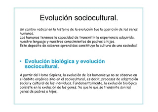 Evolución sociocultural.
Un cambio radical en la historia de la evolución fue la aparición de los seres
humanos.
Los humanos tenemos la capacidad de transmitir la experiencia adquirida,
nuestro lenguaje y nuestros conocimientos de padres a hijos.
Este deposito de saberes aprendidos constituye la cultura de una sociedad



• Evolución biológica y evolución
  sociocultural.
A partir del Homo Sapiens, la evolución de los humanos ya no se observa en
el ámbito orgánico sino en el sociocultural, es decir, procesos de adaptación
social y cultural de los individuos. Fundamentalmente, la evolución biológica
consiste en la evolución de los genes. Ya que lo que se transmite son los
genes de padres a hijos.
 