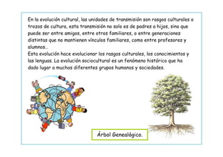 En la evolución cultural, las unidades de transmisión son rasgos culturales o
trozos de cultura, esta transmisión no solo es de padres a hijos, sino que
puede ser entre amigos, entre otros familiares, o entre generaciones
distintas que no mantienen vínculos familiares, como entre profesores y
alumnos…
Esta evolución hace evolucionar los rasgos culturales, los conocimientos y
las lenguas. La evolución sociocultural es un fenómeno histórico que ha
dado lugar a muchos diferentes grupos humanos y sociedades.




                                Árbol Genealógico.
 