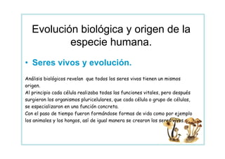 Evolución biológica y origen de la
           especie humana.
• Seres vivos y evolución.
Análisis biológicos revelan que todos los seres vivos tienen un mismos
origen.
Al principio cada célula realizaba todas las funciones vitales, pero después
surgieron los organismos pluricelulares, que cada célula o grupo de células,
se especializaron en una función concreta.
Con el paso de tiempo fueron formándose formas de vida como por ejemplo
los animales y los hongos, así de igual manera se crearon los seres vivos.
 