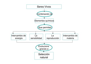 Seres Vivos

                       Combinación de


                     Elementos químicos


                         Que permiten


Intercambio de       La              La        Intercambio de
    energía      sensibilidad   reproducción       materia


                         Evoluciona
                          gracias a

                         Selección
                          natural
 