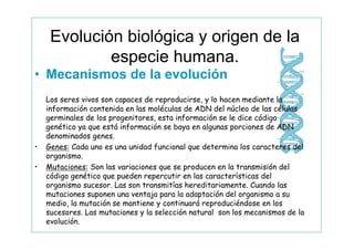 Evolución biológica y origen de la
             especie humana.
• Mecanismos de la evolución
    Los seres vivos son capaces de reproducirse, y lo hacen mediante la
    información contenida en las moléculas de ADN del núcleo de las células
    germinales de los progenitores, esta información se le dice código
    genético ya que está información se baya en algunas porciones de ADN
    denominados genes.
•   Genes: Cada uno es una unidad funcional que determina los caracteres del
    organismo.
•   Mutaciones: Son las variaciones que se producen en la transmisión del
    código genético que pueden repercutir en las características del
    organismo sucesor. Las son transmitías hereditariamente. Cuando las
    mutaciones suponen una ventaja para la adaptación del organismo a su
    medio, la mutación se mantiene y continuará reproduciéndose en los
    sucesores. Las mutaciones y la selección natural son los mecanismos de la
    evolución.
 