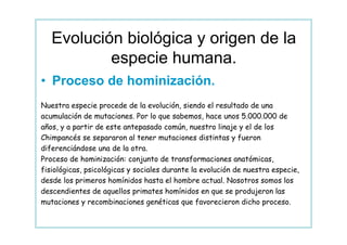 Evolución biológica y origen de la
           especie humana.
• Proceso de hominización.
Nuestra especie procede de la evolución, siendo el resultado de una
acumulación de mutaciones. Por lo que sabemos, hace unos 5.000.000 de
años, y a partir de este antepasado común, nuestro linaje y el de los
Chimpancés se separaron al tener mutaciones distintas y fueron
diferenciándose una de la otra.
Proceso de hominización: conjunto de transformaciones anatómicas,
fisiológicas, psicológicas y sociales durante la evolución de nuestra especie,
desde los primeros homínidos hasta el hombre actual. Nosotros somos los
descendientes de aquellos primates homínidos en que se produjeron las
mutaciones y recombinaciones genéticas que favorecieron dicho proceso.
 