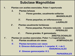 Origen y Clasificación de las Angiospermas.pdf