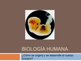 BIOLOGÍA HUMANA 
¿Cómo se origina y se desarrolla el cuerpo 
humano? 
 