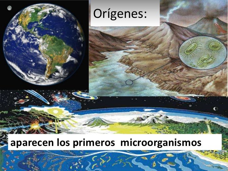 Origen y distribución de los seres vivos en la tierra parte 1