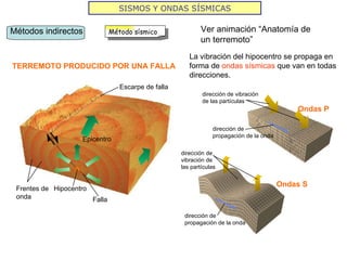 SISMOS Y ONDAS SÍSMICAS Epicentro La vibración del hipocentro se propaga en forma de  ondas sísmicas  que van en todas direcciones. TERREMOTO PRODUCIDO POR UNA FALLA Ver animación “Anatomía de un terremoto” Ondas P Ondas   S Escarpe de falla Hipocentro Frentes de onda Falla dirección de vibración de las partículas dirección de propagación de la onda dirección de vibración de las partículas dirección de propagación de la onda Métodos indirectos Método sísmico 