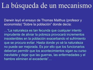 La búsqueda de un mecanismo
Darwin leyó ensayo de Thomas Malthus (profesor y economista)
“Sobre la población” donde decía:
…“La naturaleza es tan fecunda que cualquier intento imprudente
de aliviar la pobreza provocara incrementos insostenibles en la
población, exacerbando el sufrimiento que se procura evitar. Hasta
donde yo se, la naturaleza no puede ser mejorada. Es por ello que
los funcionarios relacionados con el bienestar social deberían
permitir que los acontecimientos sigan su curso inevitable y dejar
que las guerras, las enfermedades y el hambre eliminen el
excedente”…
 