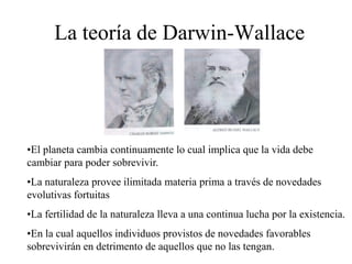 La teoría de Darwin-Wallace
•El planeta cambia continuamente lo cual implica que la vida debe
cambiar para poder sobrevivir.
•La naturaleza provee ilimitada materia prima a través de novedades
evolutivas fortuitas
•La fertilidad de la naturaleza lleva a una continua lucha por la existencia.
•En la cual aquellos individuos provistos de novedades favorables
sobrevivirán en detrimento de aquellos que no las tengan.
 