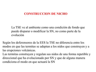 CONSTRUCCION DE NICHO
La TSE ve al ambiente como una condición de fondo que
puede disparar o modificar la SN, no como parte de la
evolución
Según los deferensores de la EES la TSE no diferencia entre los
modos en que las termitas se adaptan a los nidos que construyen y a
las erupciones volcánicas.
Las termitas construyen y regulan sus nidos de una forma repetible y
direccional que ha evolucionado por SN y que de alguna manera
condiciona el modo en que actuará la SN
 
