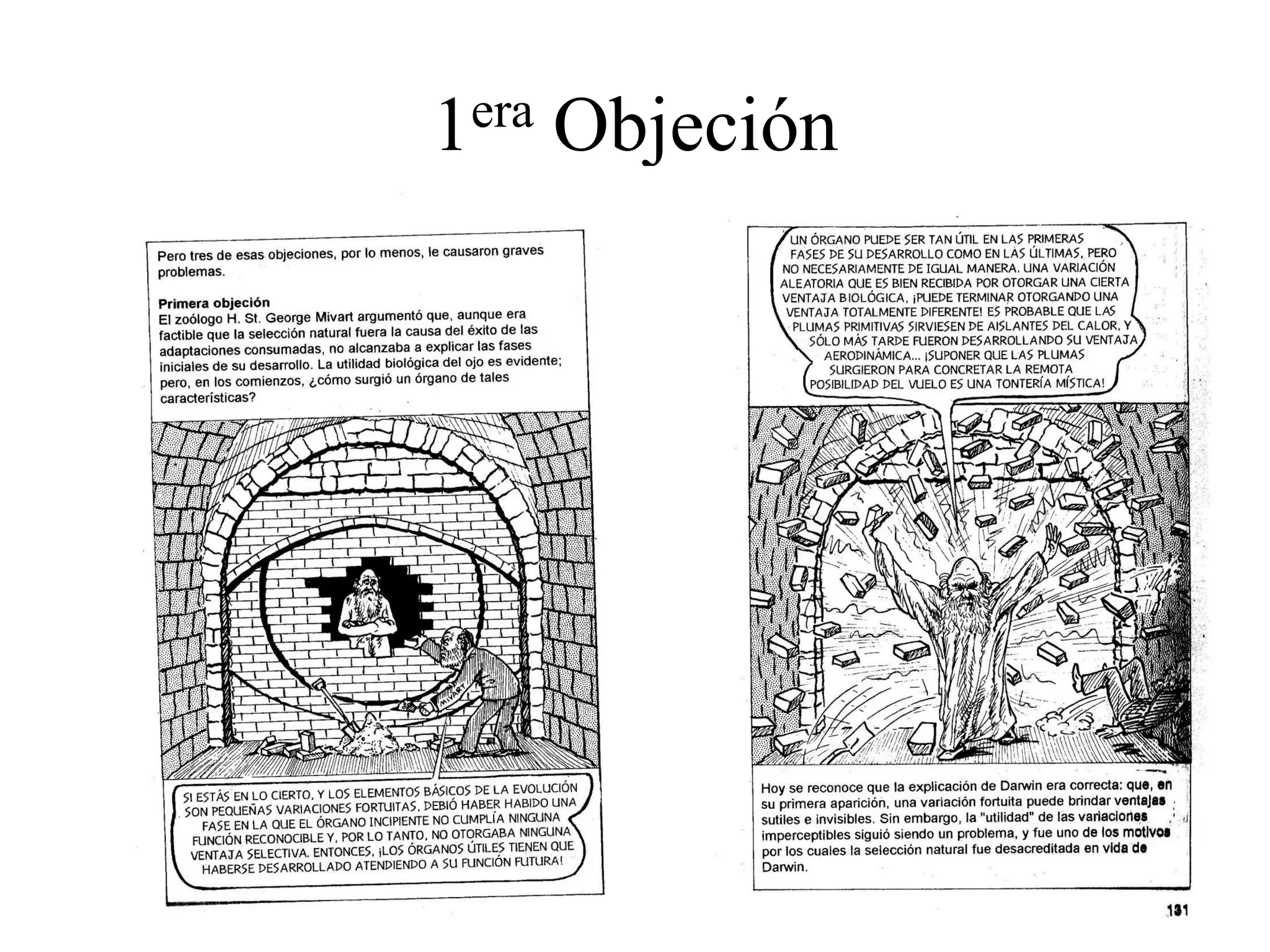 origen y evolución.pdf