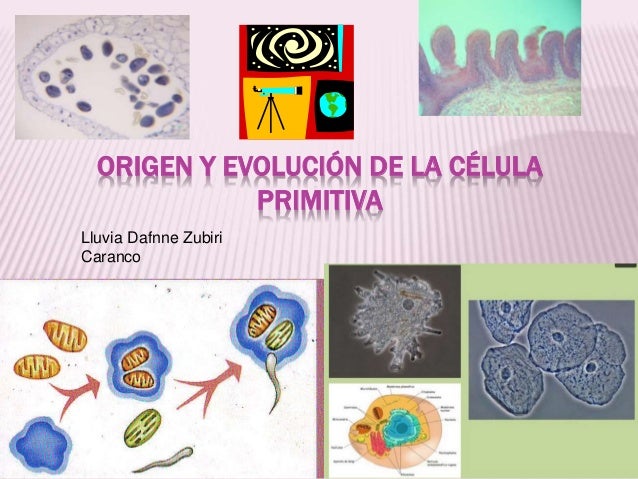 Cual Fue El Origen De La Celula - Compartir Celular