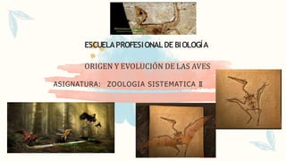 ESCUELAPROFESIONALDE BIOLOGÍA
ORIGEN Y EVOLUCIÓN DE LAS AVES
ASIGNATURA: ZOOLOGIA SISTEMATICA II
 