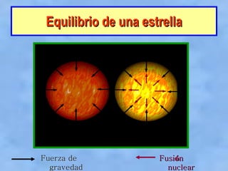 Equilibrio de una estrella Fuerza de gravedad Fusi ó n nuclear 