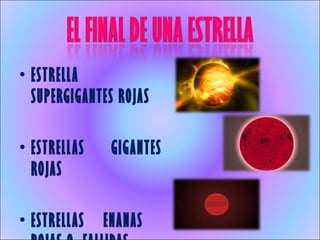 ESTRELLA SUPERGIGANTES ROJAS ESTRELLAS GIGANTES ROJAS  ESTRELLAS ENANAS  ROJAS O  FALLIDAS 