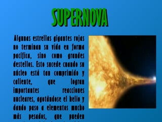 SUPERNOVA  Algunas estrellas gigantes rojas no terminan su vida en forma pacífica, sino como grandes destellos. Esto sucede cuando su núcleo está tan comprimido y caliente, que logran importantes reacciones nucleares, agotándose el helio y dando paso a elementos mucho más pesados, que pueden terminar dejando al núcleo formado por hierro.  