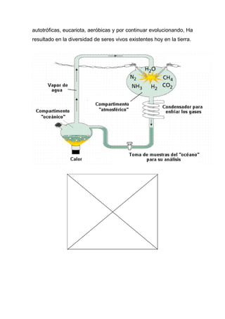autotróficas, eucariota, aeróbicas y por continuar evolucionando, Ha
resultado en la diversidad de seres vivos existentes hoy en la tierra.

 
