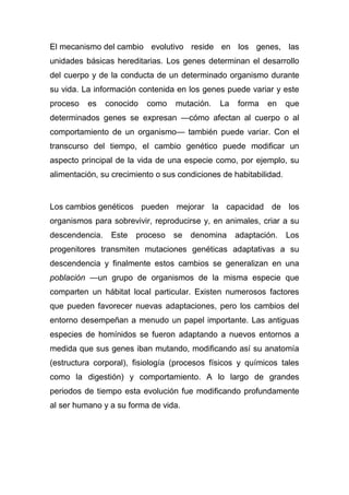 El mecanismo del cambio evolutivo reside en los genes, las
unidades básicas hereditarias. Los genes determinan el desarrollo
del cuerpo y de la conducta de un determinado organismo durante
su vida. La información contenida en los genes puede variar y este
proceso

es

conocido

como

mutación.

La

forma

en

que

determinados genes se expresan —cómo afectan al cuerpo o al
comportamiento de un organismo— también puede variar. Con el
transcurso del tiempo, el cambio genético puede modificar un
aspecto principal de la vida de una especie como, por ejemplo, su
alimentación, su crecimiento o sus condiciones de habitabilidad.

Los cambios genéticos pueden mejorar la capacidad de los
organismos para sobrevivir, reproducirse y, en animales, criar a su
descendencia.

Este

proceso

se

denomina

adaptación.

Los

progenitores transmiten mutaciones genéticas adaptativas a su
descendencia y finalmente estos cambios se generalizan en una
población —un grupo de organismos de la misma especie que
comparten un hábitat local particular. Existen numerosos factores
que pueden favorecer nuevas adaptaciones, pero los cambios del
entorno desempeñan a menudo un papel importante. Las antiguas
especies de homínidos se fueron adaptando a nuevos entornos a
medida que sus genes iban mutando, modificando así su anatomía
(estructura corporal), fisiología (procesos físicos y químicos tales
como la digestión) y comportamiento. A lo largo de grandes
periodos de tiempo esta evolución fue modificando profundamente
al ser humano y a su forma de vida.

 