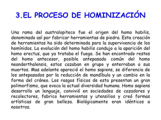 3.EL PROCESO DE HOMINIZACIÓN Una rama del australopiteco fue el origen del homo habilis, denominado así por fabricar herramientas de piedra. Esta creación de herramientas ha sido determinada para la supervivencia de los homínidos. La evolución del homo habilis condujo a la aparición del homo erectus, que ya trataba el fuego. Se han encontrado restos del homo antecesor, posible antepasado común del homo neanderthalensis, estos cazaban en grupo y enterraban a sus muertos. Mas adelante apareció el homo sapiens, se diferencia de los antepasados por la reducción de mandíbula y un cambio en la forma del cráneo. Los rasgos físicos de esta presentan un gran polimorfismo, que evoca la actual diversidad humana. Homo sapiens desarrollo un lenguaje, convivió en sociedades de cazadores y recolectores, fabrico herramientas y utensilios y creó formas artísticas de gran belleza. Biológicamente eran idénticos a nosotros. 