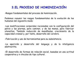 3.EL PROCESO DE HOMINIZACIÓN -Rasgos fundamentales del proceso de hominización. Podemos resumir los rasgos fundamentales de la evolución de los humanos del siguiente modo: -Las modificaciones corporales racionadas con la configuración del pelvis y las piernas, para caminar, y de las manos, para fabricar utensilios. También reducción de mandíbulas, crecimiento de la capacidad craneal y, por tanto, desarrollo del cerebro. -Fabricación y uso de herramientas para su subsistencia. -La aparición y desarrollo del lenguaje y de la inteligencia abstractita. -El desarrollo de formas de relación social, basadas en una actitud cooperativa y n vínculos de tipo cultural. 