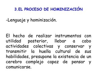 3.EL PROCESO DE HOMINIZACIÓN -Lenguaje y hominización. El hecho de realizar instrumentos con utilidad posterior, llebar a cabo actividades colectivas y conservar y transmitir la huella cultural de sus habilidades, presupone la existencia de un cerebro complejo capaz de pensar y comunicarse. 
