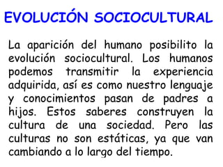 EVOLUCIÓN SOCIOCULTURAL La aparición del humano posibilito la evolución sociocultural. Los humanos podemos transmitir la experiencia adquirida, así es como nuestro lenguaje y conocimientos pasan de padres a hijos. Estos saberes construyen la cultura de una sociedad. Pero las culturas no son estáticas, ya que van cambiando a lo largo del tiempo. 