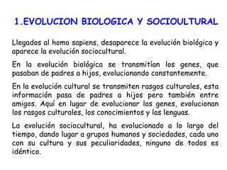 1.EVOLUCION BIOLOGICA Y SOCIOULTURAL Llegados al homo sapiens, desaparece la evolución biológica y aparece la evolución sociocultural. En la evolución biológica se transmitían los genes, que pasaban de padres a hijos, evolucionando constantemente. En la evolución cultural se transmiten rasgos culturales, esta información pasa de padres a hijos pero también entre amigos. Aquí en lugar de evolucionar los genes, evolucionan los rasgos culturales, los conocimientos y las lenguas. La evolución sociocultural, ha evolucionado a lo largo del tiempo, dando lugar a grupos humanos y sociedades, cada uno con su cultura y sus peculiaridades, ninguno de todos es idéntico. 