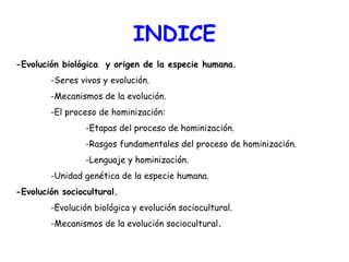 INDICE -Evolución biológica  y origen de la especie humana. -Seres vivos y evolución. -Mecanismos de la evolución. -El proceso de hominización: -Etapas del proceso de hominización. -Rasgos fundamentales del proceso de hominización. -Lenguaje y hominización. -Unidad genética de la especie humana. -Evolución sociocultural. -Evolución biológica y evolución sociocultural. -Mecanismos de la evolución sociocultural . 