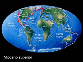 Mioceno superior 
