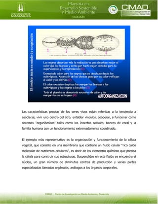 Las características propias de los seres vivos están referidas a la tendencia a
asociarse, vivir uno dentro del otro, entablar vínculos, cooperar, a funcionar como
sistemas "organísmicos" tales como los Insectos sociales, bancos de coral y la
familia humana con un funcionamiento extremadamente coordinado.
El ejemplo más representativo es la organización y funcionamiento de la célula
vegetal, que consiste en una membrana que contiene un fluido celular “rico caldo
molecular de nutrientes celulares”, es decir de los elementos químicos que precisa
la célula para construir sus estructuras. Suspendidos en este fluido se encuentra el
núcleo, un gran número de diminutos centros de producción y varias partes
especializadas llamadas orgánulos, análogos a los órganos corporales.

 