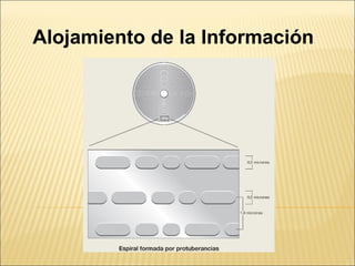 Alojamiento de la Información
 