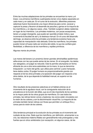 Entre las muchas adaptaciones de los primates se encuentran la mano y el
brazo. Los primeros mamíferos cuadrúpedos tenían cinco dígitos separados en
cada mano y en cada pie. En el curso de la evolución, diferentes presiones
selectivas fueron favoreciendo una mayor eficiencia para correr, excavar y
capturar la presa y llevaron al desarrollo de pezuñas y garras en la mayoría de
los mamíferos y, en algunos casos, uñas. También surgieron aletas natatorias
en lugar de los miembros. Los primates modernos, con pocas excepciones,
tienen un pulgar divergente, que puede ser oponible al dedo índice y que
incrementa la facultad de asir y la destreza manual. En el curso del desarrollo
del linaje, se observa entre los primates una tendencia evolutiva hacia una
capacidad de manipulación más delicada. Entre los mamíferos, los primates
pueden torcer el hueso radio por encima del cúbito, lo que les confiere gran
flexibilidad, a diferencia de los mamíferos y reptiles primitivos.

Algunas manos de primate.



Las manos del tarsero (un prosimio) tienen grandes almohadillas epidérmicas
adhe-sivas con las que puede asirse de las ramas. En el orangután, los dedos
son alargados y el pulgar es reducido. Esto le permite columpiarse en forma
eficiente de una a otra rama asiéndolas con la mano, lo que se denomina
braquiación. La mano del gorila, que utiliza para caminar y para manipular,
tiene dedos cortos. El pulgar humano es proporcionalmente grande con
respecto al de los otros primates y la oposición del pulgar con respecto a los
otros dedos, de la que depende la habilidad manual, es superior en los
humanos.



Otro resultado de las presiones selectivas en el hábitat arbóreo es el
incremento de la agudeza visual, con la consiguiente reducción de la
prevalencia en la función del olfato, que es el más importante de los sentidos
en la mayor parte de los otros grupos de mamíferos. En casi todos los
primates, las retinas tienen conos y bastones; los conos están vinculados con
la visión de los colores y con la discriminación visual fina. La mayoría de los
primates también tienen retinas con fóvea que permiten un enfoque fino y
conos para la visión de los colores.



Otra tendencia principal en la evolución de los primates es el incremento del
cuidado de las crías. Dado que los mamíferos, por definición, amamantan a su
cría, las relaciones materno-filiales son generalmente más prolongadas y más
fuertes que en otros vertebrados (con excepción, en algunos casos, de las
 