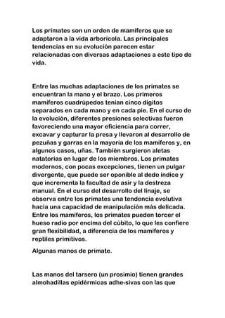 Los primates son un orden de mamíferos que se
adaptaron a la vida arborícola. Las principales
tendencias en su evolución parecen estar
relacionadas con diversas adaptaciones a este tipo de
vida.

Entre las muchas adaptaciones de los primates se
encuentran la mano y el brazo. Los primeros
mamíferos cuadrúpedos tenían cinco dígitos
separados en cada mano y en cada pie. En el curso de
la evolución, diferentes presiones selectivas fueron
favoreciendo una mayor eficiencia para correr,
excavar y capturar la presa y llevaron al desarrollo de
pezuñas y garras en la mayoría de los mamíferos y, en
algunos casos, uñas. También surgieron aletas
natatorias en lugar de los miembros. Los primates
modernos, con pocas excepciones, tienen un pulgar
divergente, que puede ser oponible al dedo índice y
que incrementa la facultad de asir y la destreza
manual. En el curso del desarrollo del linaje, se
observa entre los primates una tendencia evolutiva
hacia una capacidad de manipulación más delicada.
Entre los mamíferos, los primates pueden torcer el
hueso radio por encima del cúbito, lo que les confiere
gran flexibilidad, a diferencia de los mamíferos y
reptiles primitivos.
Algunas manos de primate.

Las manos del tarsero (un prosimio) tienen grandes
almohadillas epidérmicas adhe-sivas con las que

 